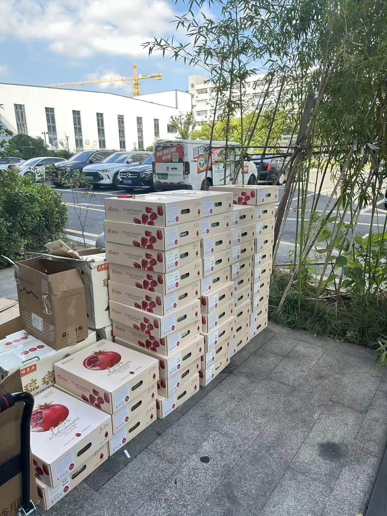 微信图片_20250922101536_596_21